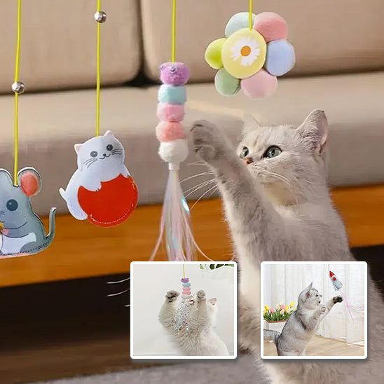 jouet pour chat-suspendu