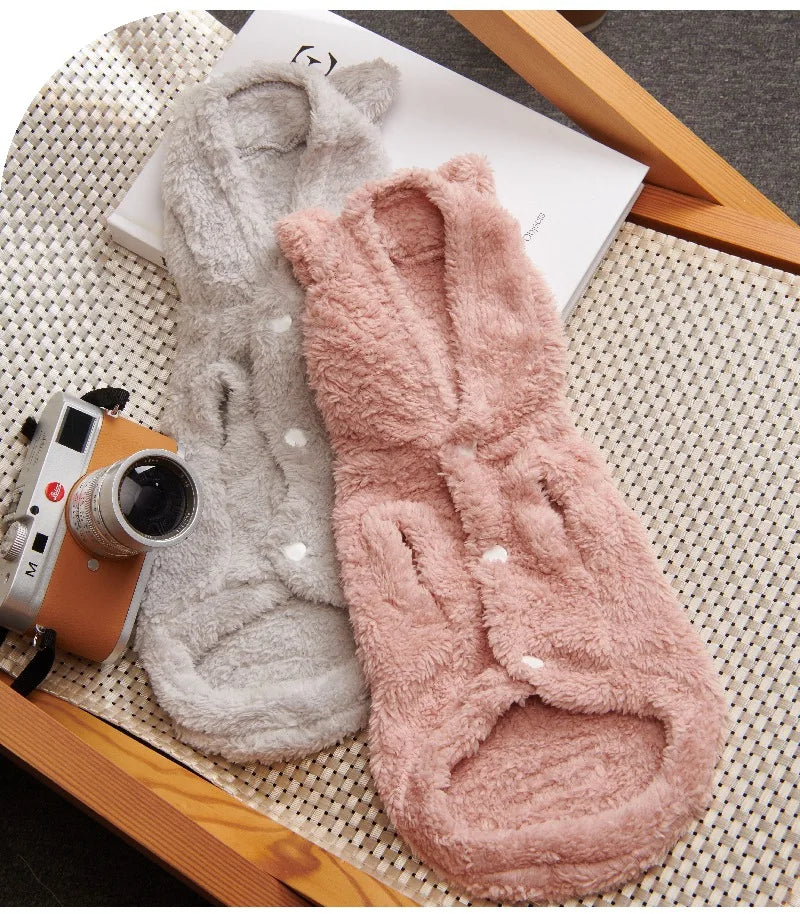 Vêtements pour chats