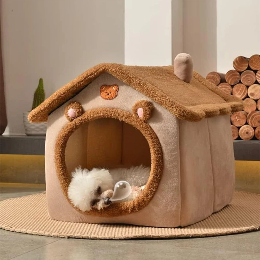 maison pour chat