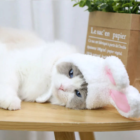Accessoire de déguisement pour chat -RabbitHat™