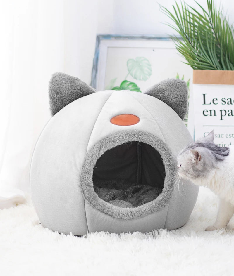 niche pour chat