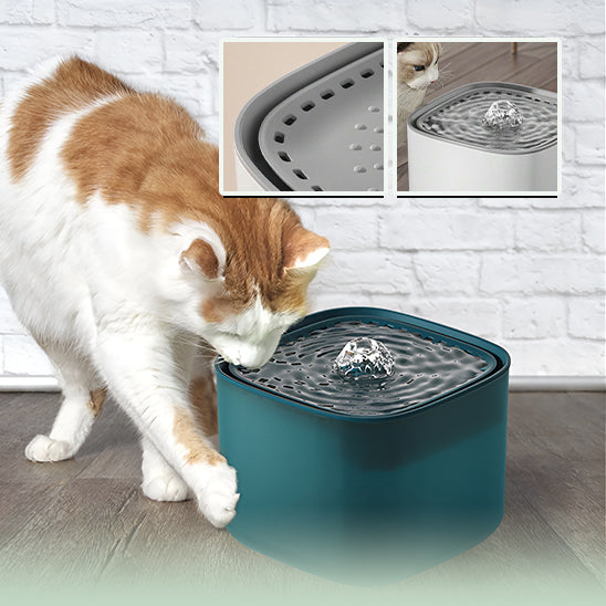 fontaine  à eau pour chat | CatwaterFountain™