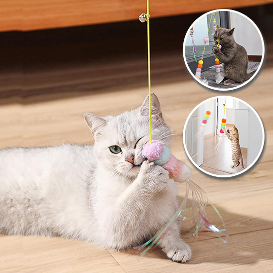 jouet pour chat-suspendu